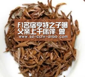 F1名宿亨特之子曝父亲上千床伴 曾连战35名空姐-安博体育(图4) 安博体育