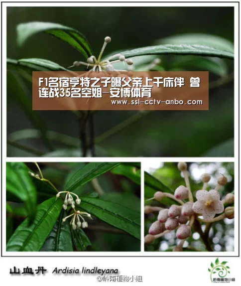 F1名宿亨特之子曝父亲上千床伴 曾连战35名空姐-安博体育(图2) 安博体育