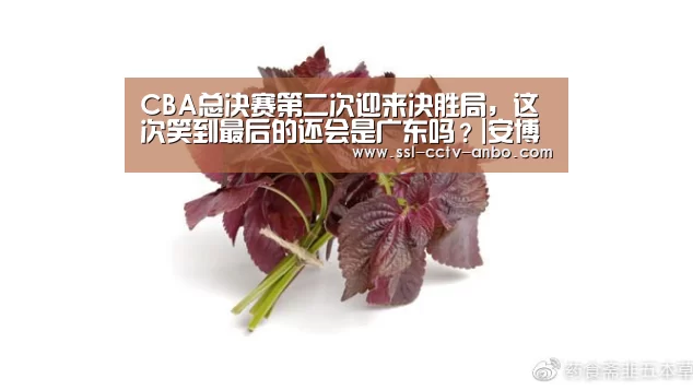CBA总决赛第二次迎来决胜局,这次笑到最后的还会是广东吗?|安博体育(图2) 安博体育