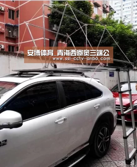 安博体育_青海西寄窦三端公(图3) 安博体育